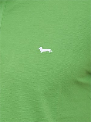 POLO HARMONT & BLAINE VERDE in UOMO